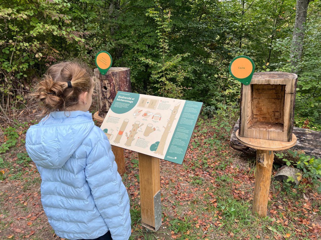 A Day of Building at the&nbsp;Arboretum